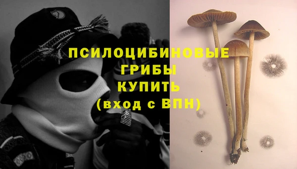 трава Баксан