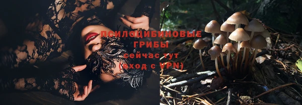 трава Баксан
