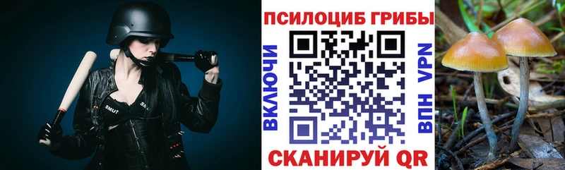Псилоцибиновые грибы MAGIC MUSHROOMS Туапсе