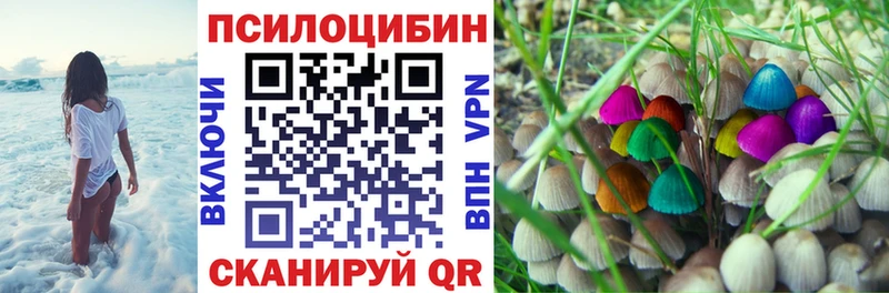 hydra ссылки цены наркотик Туапсе Псилоцибиновые грибы прущие грибы